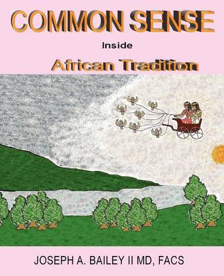Common Sense Inside African Tradition by Joseph A Bailey image