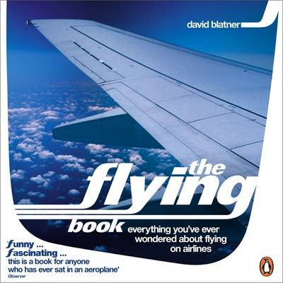 The Flying Book by David Blatner image