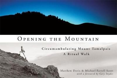 Opening the Mountain by Matthew Davis image