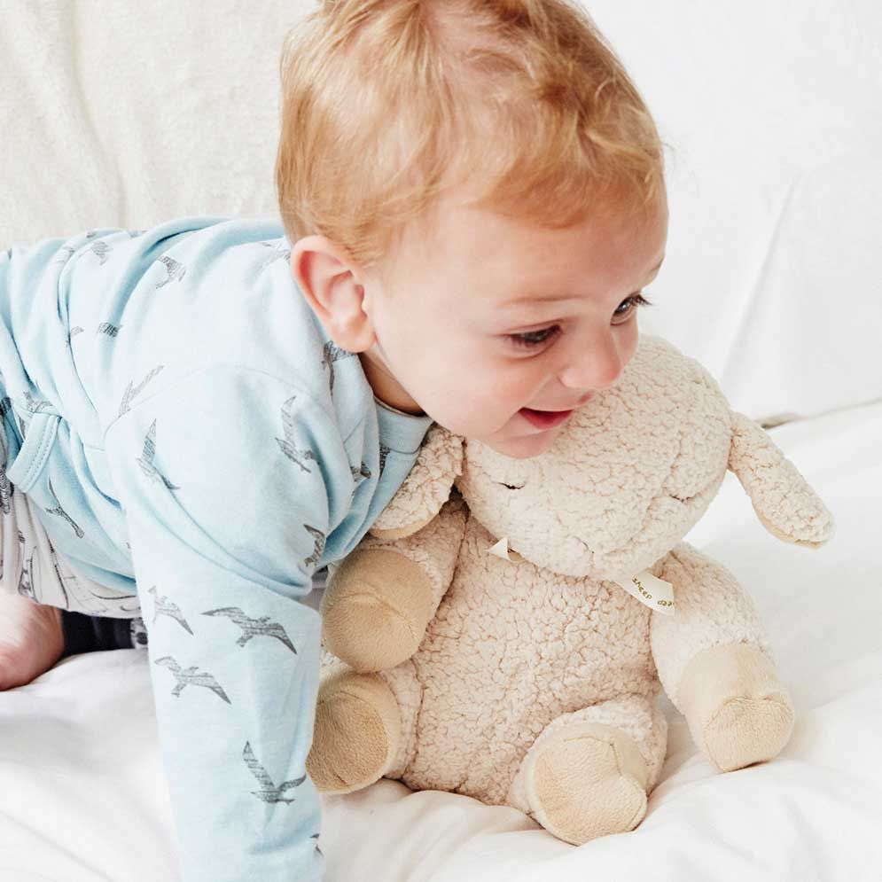 Cloud B Sleep Sheep Sounds Soother image