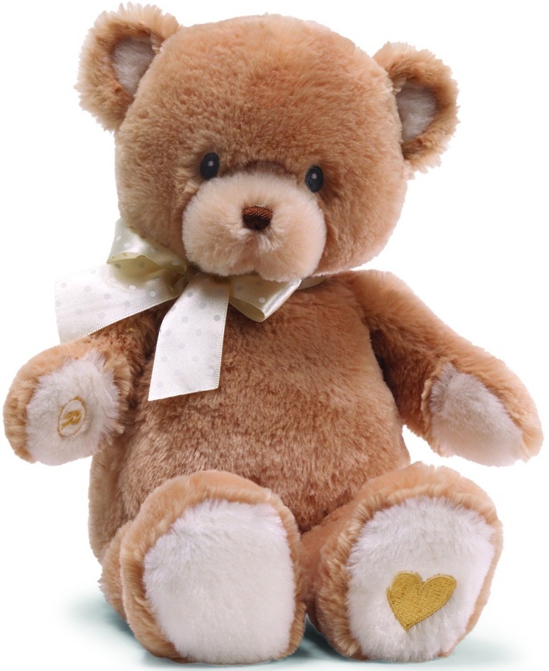 recordable teddy