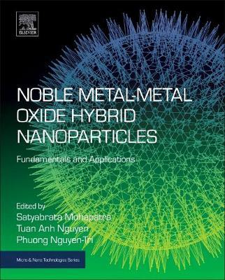 Noble Metal-Metal Oxide Hybrid Nanoparticles image