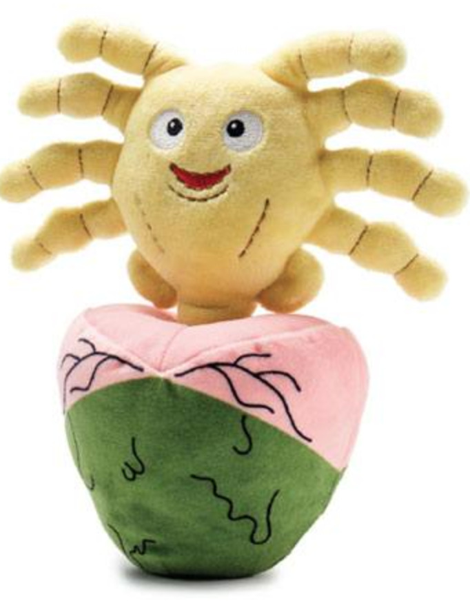 Buy Facehugger & Egg 6" Phunny Plush at Mighty Ape NZ
