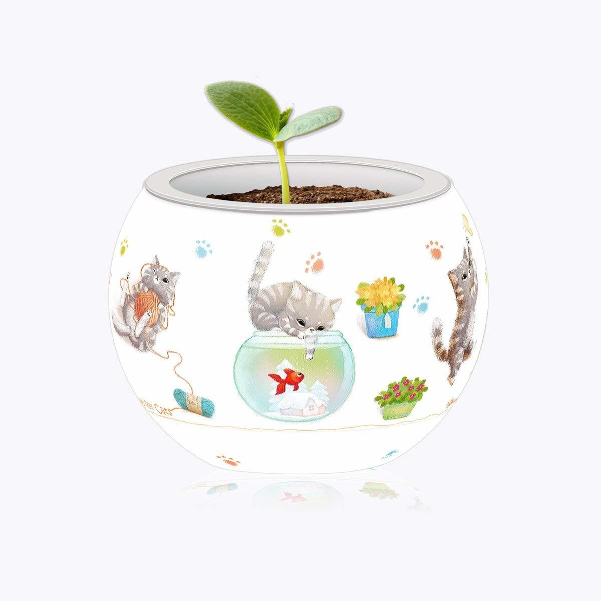 Pintoo: 80-Piece Puzzle Flower Pot - Cat's Playtime image