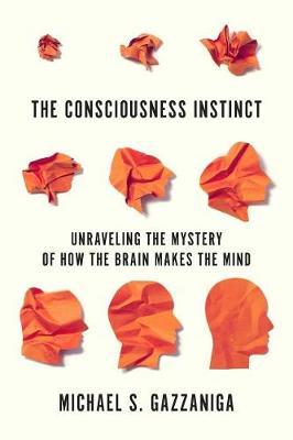 The Consciousness Instinct by Michael S Gazzaniga image