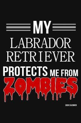 My Labrador Retriever Protects Me From Zombies 2020 Calender by Harriets Dogs image