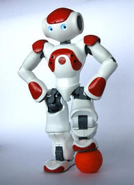 nao next gen