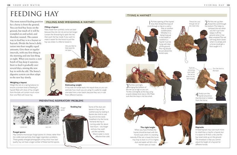 Complete Horse Care Manual by Colin Vogel image