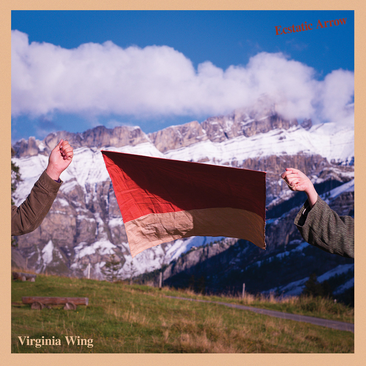 Ecstatic Arrow by Wing image