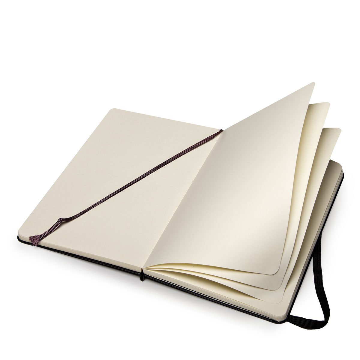 Buy Moleskine Sketchbook at Mighty Ape NZ