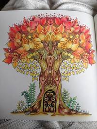 Enchanted Forest: An Inky Quest and Colouring Book