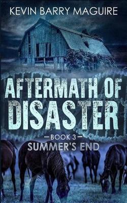 Aftermath of Disaster by Kevin Barry Maguire