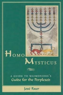 Homo Mysticus by Joseph Faur image