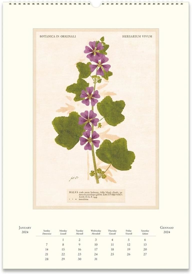 Buy Cavallini & Co Vintage Pressed Flowers Wall Calendar (2024) at