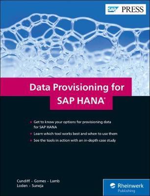 Data Provisioning for SAP HANA image