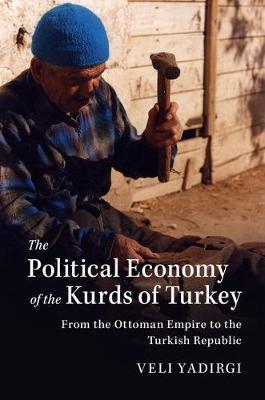 The Political Economy of the Kurds of Turkey by Veli Yadirgi image