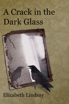 A Crack in the Dark Glass by Elizabeth Lindsay image