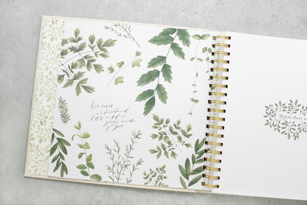 As You Grow by Korie Herold image