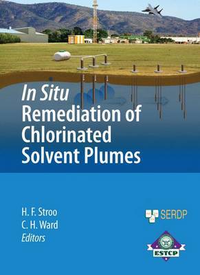 In Situ Remediation of Chlorinated Solvent Plumes image