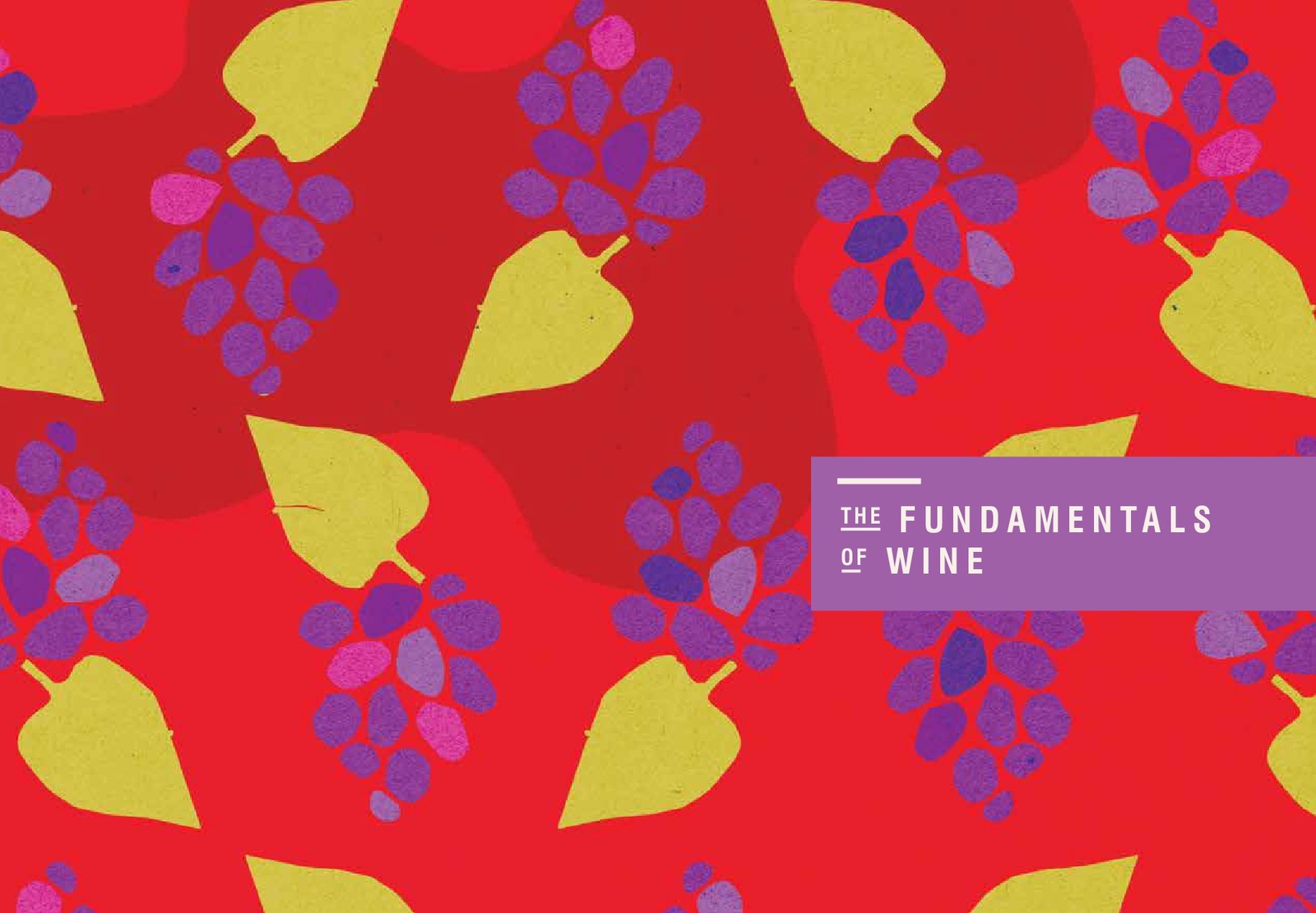 This is Not a Wine Guide by Chris Morrison image