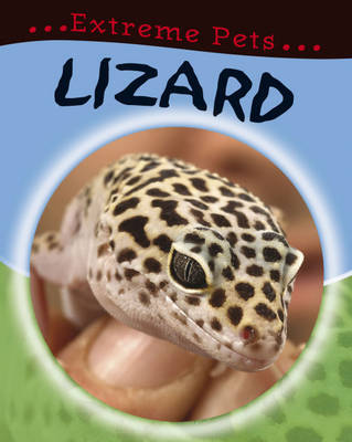 Lizard by Deborah Chancellor image