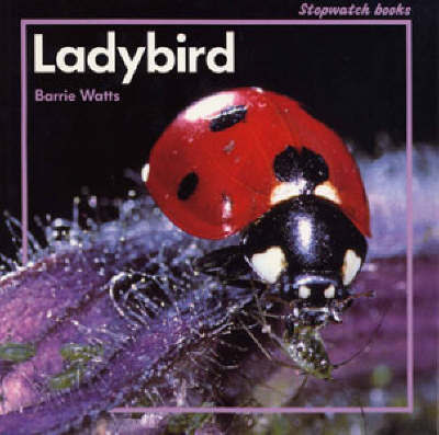Ladybird by Barrie Watts image