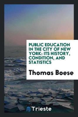 Public Education in the City of New York by Thomas Boese image