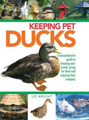 Keeping Pet Ducks by Liz Wright image