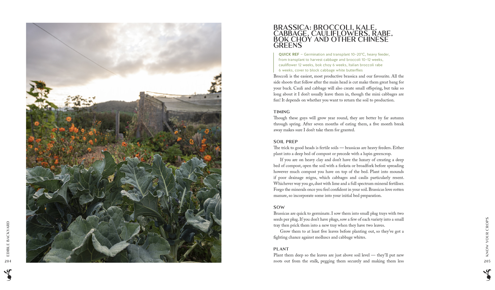 The Edible Backyard by Kath Irvine image