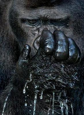 Graphis Photography Annual 2018 image