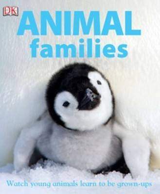 Animal Families: Watch Young Animals Learn to be Grown-Ups image