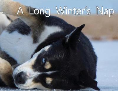 A Long Winter's Nap by Todd Bushman image