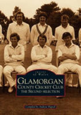 Glamorgan County Cricket Club by Andrew Hignell image