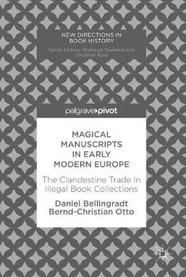 Magical Manuscripts in Early Modern Europe by Daniel Bellingradt image