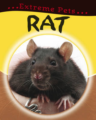Rat by Deborah Chancellor image