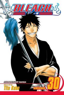 Bleach: v. 30 by Tite Kubo image