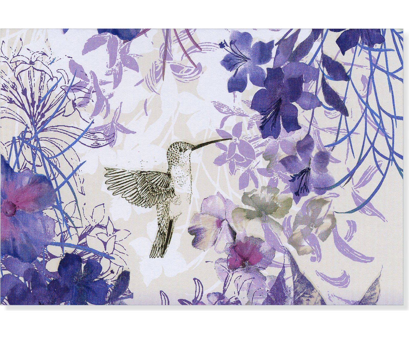 Hummingbird Note Cards (14 Cards/Envelopes) image