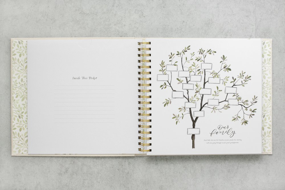 As You Grow by Korie Herold image