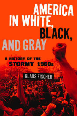 America in White, Black, and Gray by Klaus Fischer image