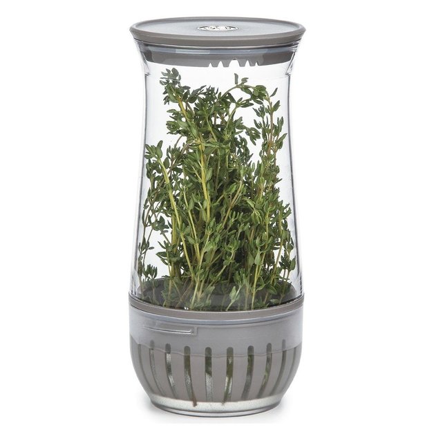 PL8 Herb Keeper at Mighty Ape NZ