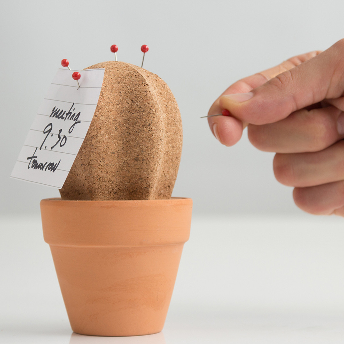 Suck UK: Cork Cactus Desk Tidy