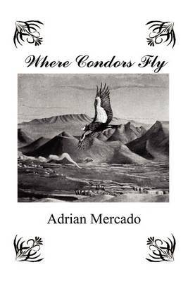 Where Condors Fly by Adrian Mercado image