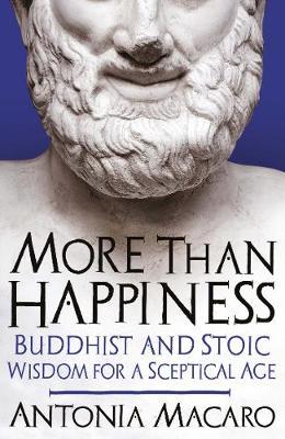 More Than Happiness by Antonia Macaro image
