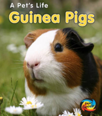 Guinea Pigs by Anita Ganeri image