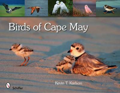 Birds of Cape May, New Jersey by Kevin T Karlson image