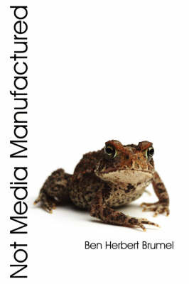 Not Media Manufactured by Ben Herbert Brumel image
