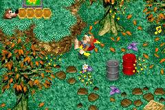Banjo-Kazooie: Grunty's Revenge for Game Boy Advance image