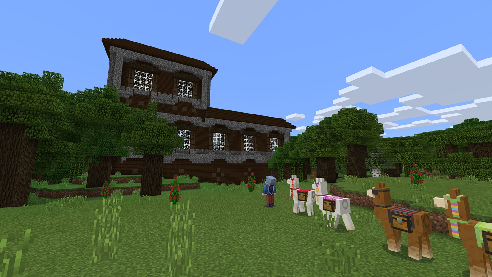 Minecraft Super Plus Pack image