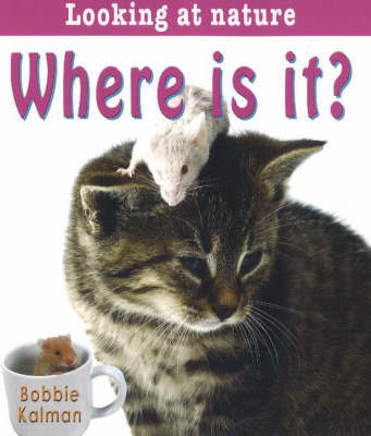 Where is It? on Hardback by Bobbie Kalman