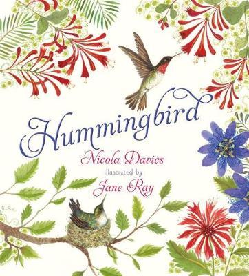 Hummingbird by Nicola Davies image